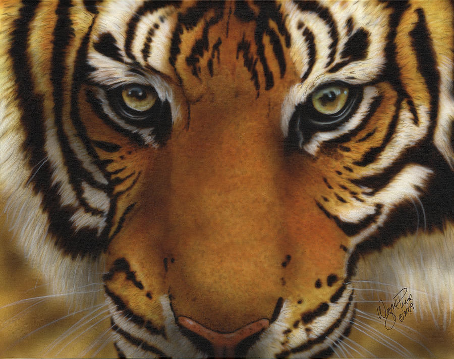 Siberian Tiger I Painting by Wayne Pruse
