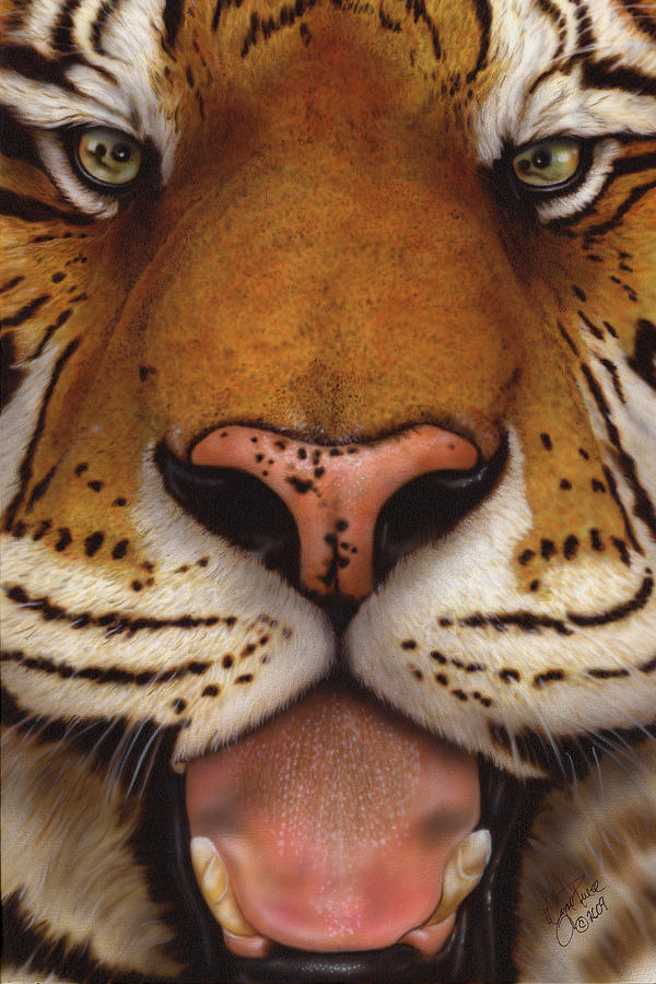 Tiger Painting - Siberian Tiger II by Wayne Pruse