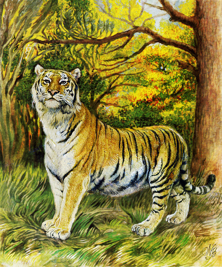 Nature Painting - Siberian Tiger  by Natalie Berman
