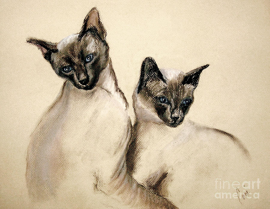 Cat Drawing - Sibling Love by Cori Solomon Cat Drawing - Sibling Love by Cori Solomon