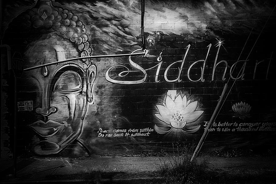 Siddhartha Photograph by Theresa Tahara