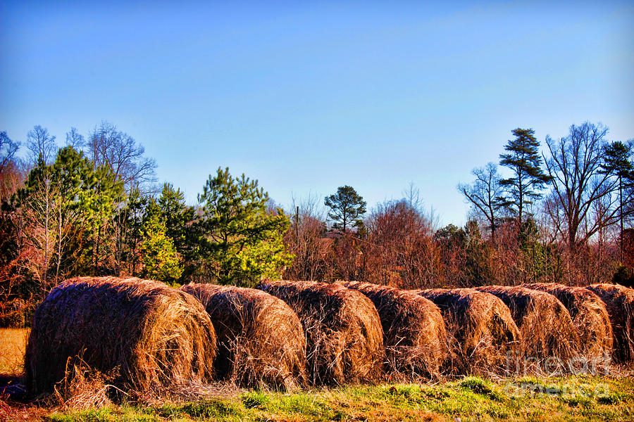 Side by Side Hay Rolls Photograph by Roberta Byram