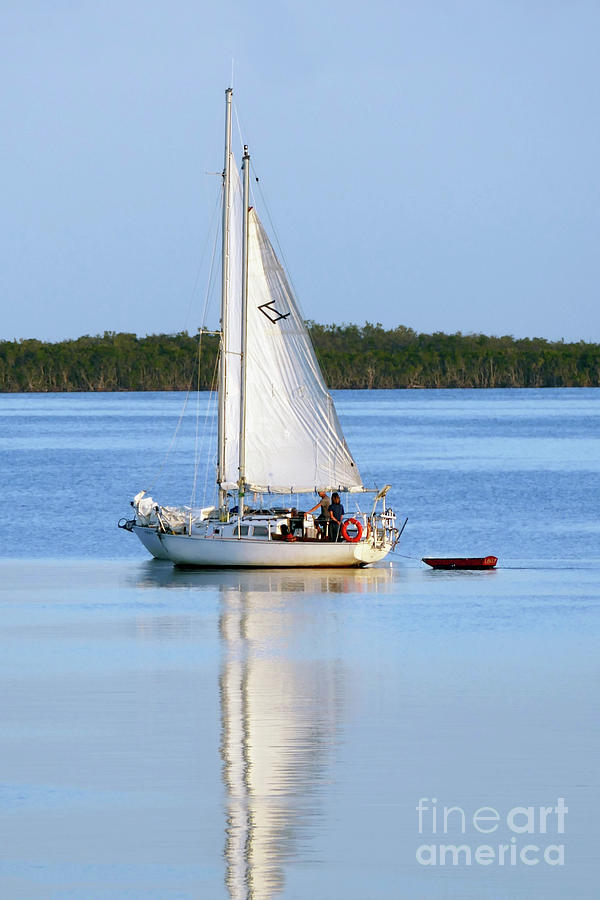 Side by Side Sailboats, Key Largo, Florida Photograph by Catherine Sherman