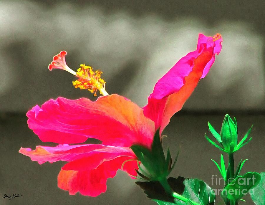 Side Girl Photograph by Stacey Brooks Fine Art America