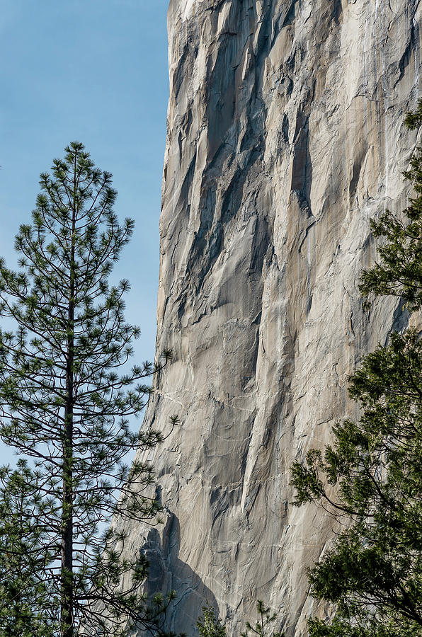 Side of El Capitan Photograph by Greg Nyquist