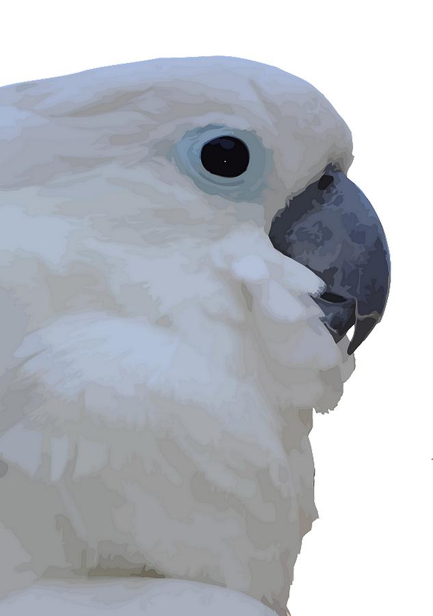 Side Portrait Of A Blue-Eyed Cockatoo Isolated Photograph by Taiche Acrylic Art