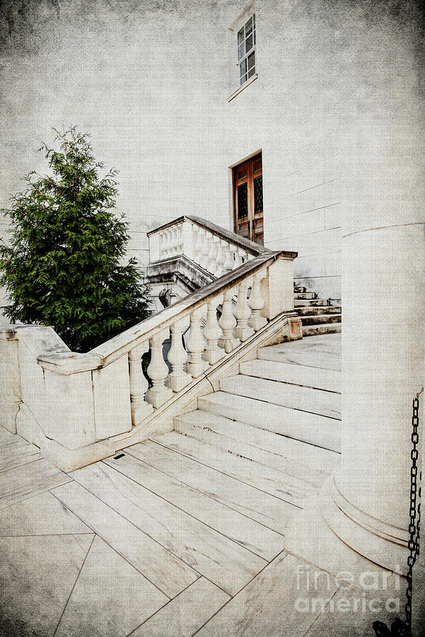 Side Steps Photograph by Judy Wolinsky