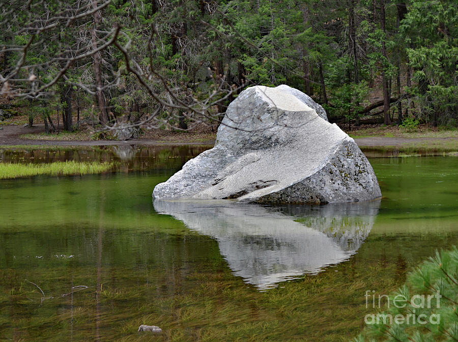 Side View of a Rock at Mirror Lake Photograph by Debby Pueschel