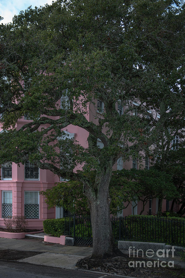 Side Walk Strolling In Historic Downtown Charleston South Carolina Photograph