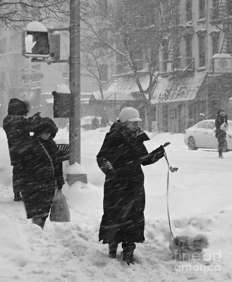 Sidewalks of New York - Winter Storm Photograph by Miriam Danar