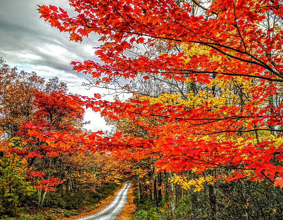Sideways Fall Photograph by Paul Kercher