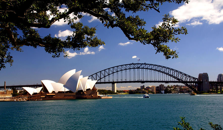 Sidney Opera House Photograph by Martin Massari - Fine Art America