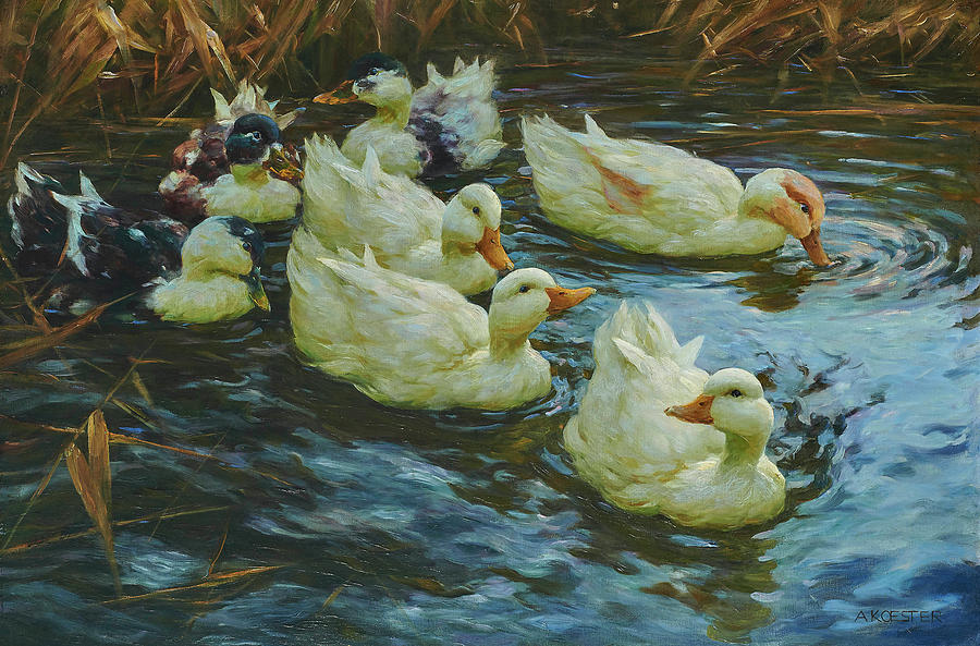 Sieben Enten im Schilfwasser Painting by Alexander Koester | Pixels