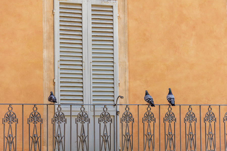 Siena 3 bird balcony  Photograph by John McGraw