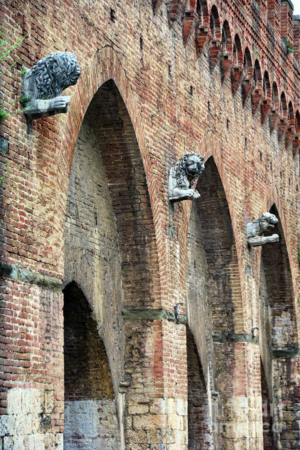 Siena Arches 1293 Photograph by Jack Schultz