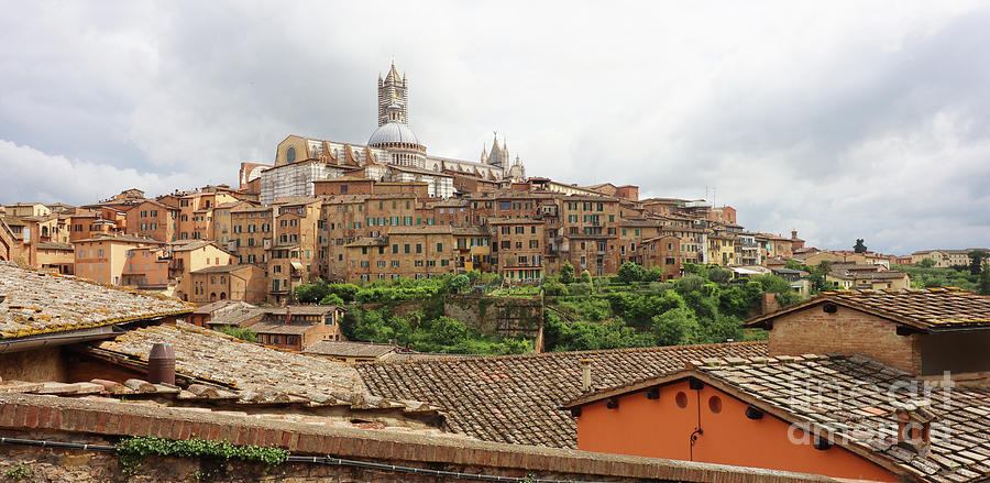 Siena Cathedral  0541 Photograph by Jack Schultz