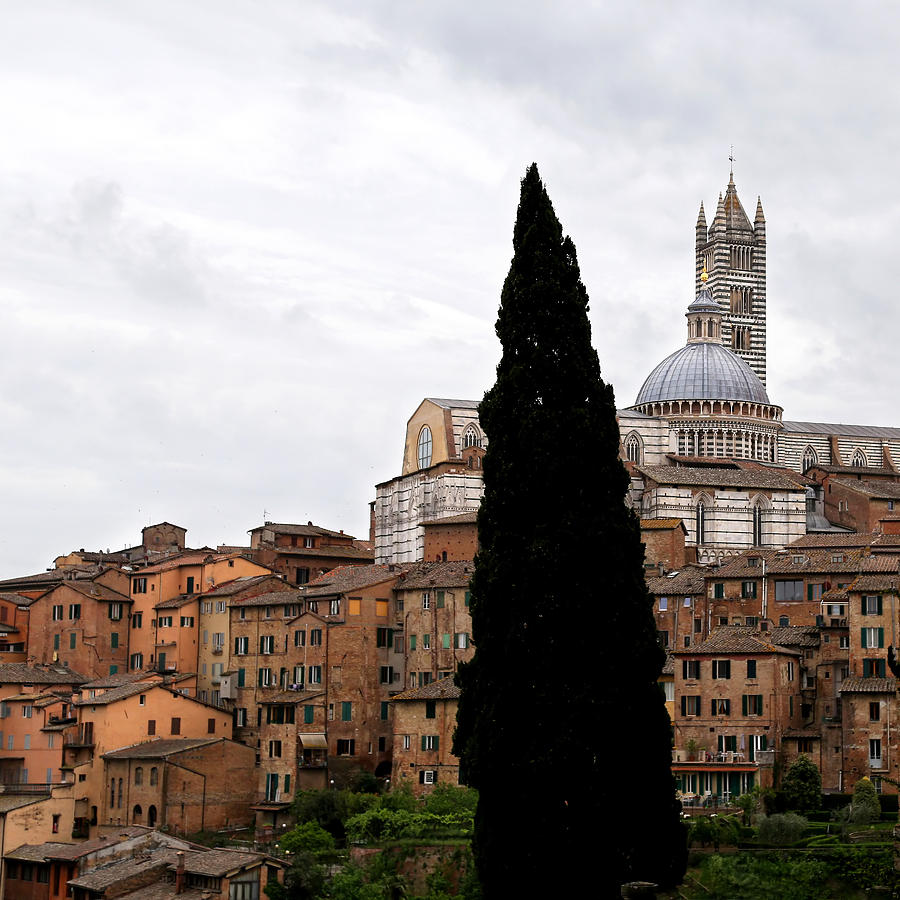 Siena Italy 1 Photograph by Andrew Fare