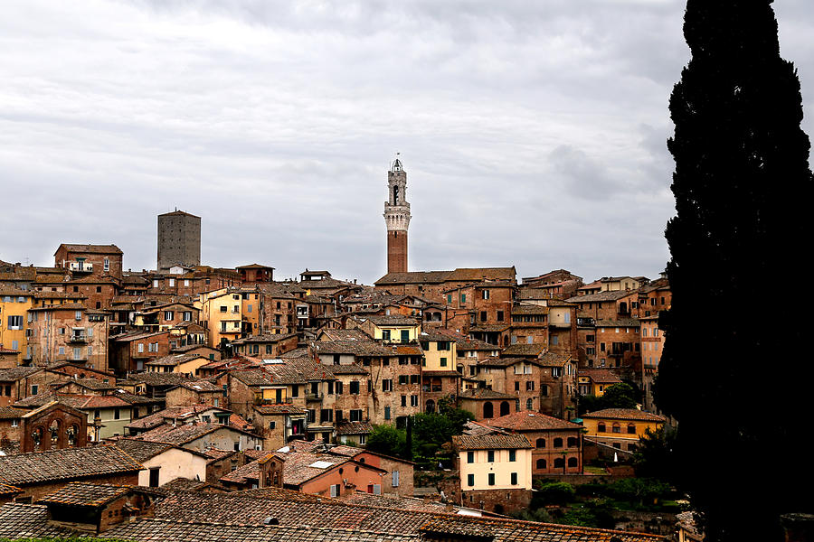 Siena Italy 2 Photograph by Andrew Fare