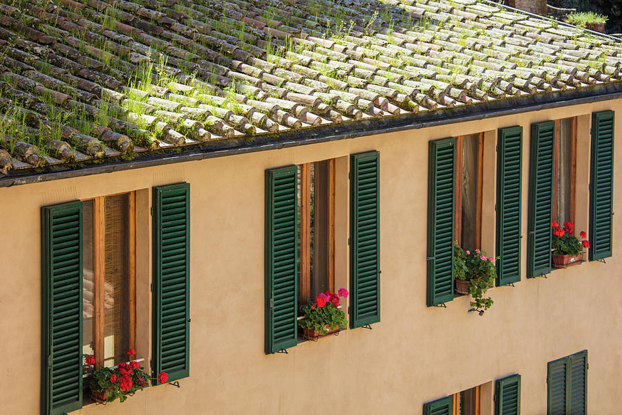 Siena Italy Roof and Green Shutters  Photograph by John McGraw
