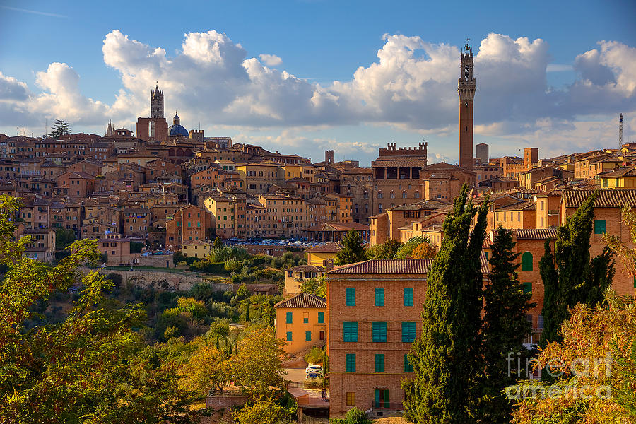 Siena Photograph by Spencer Baugh