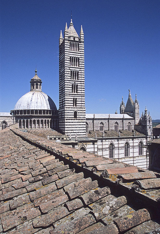 Sienna Duomo Photograph by Doug Davidson - Fine Art America