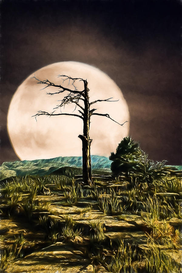 Sierra Anchas By Moonlight Digital Art by John Haldane
