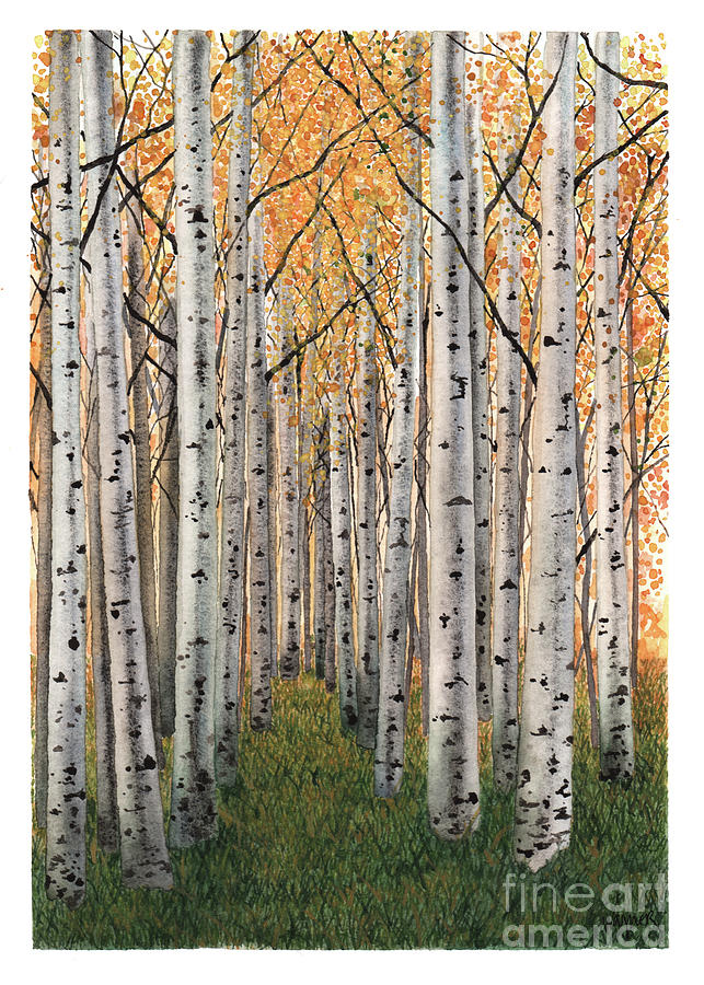 Tree Painting - Sierra Aspens by Hilda Wagner