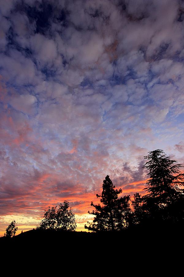 Sierra Autumn Sundown Photograph by Sean Sarsfield