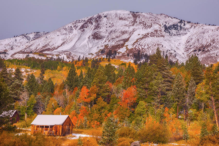 Sierra Cabin With Autumn Colors and Snow Photograph by Marc Crumpler