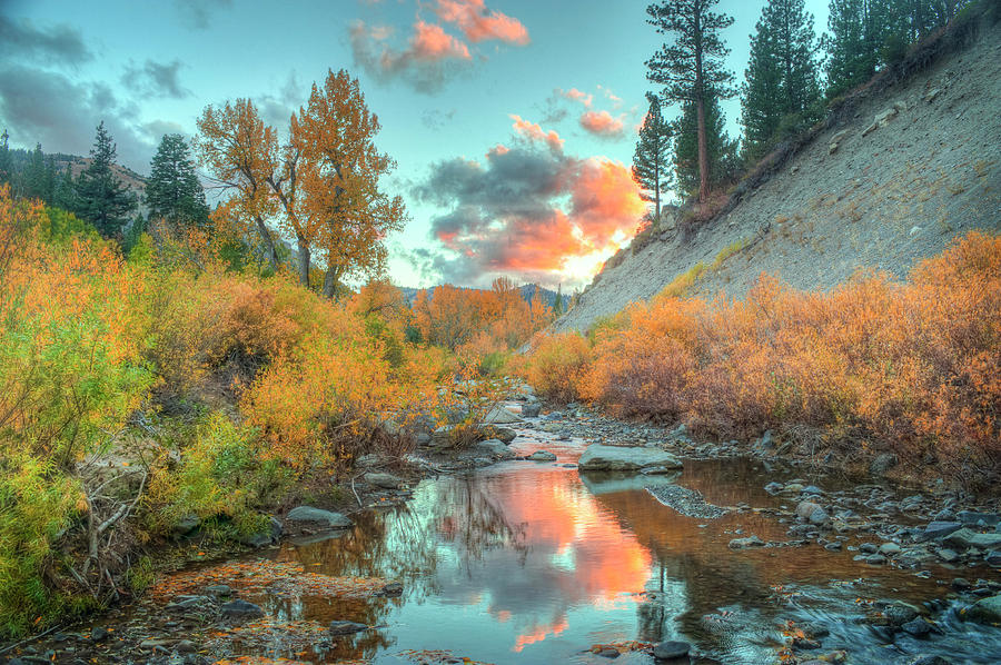 Sierra Creek in fall  Photograph by Steve Ellison