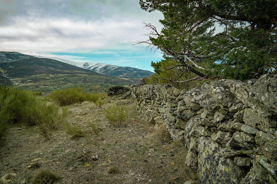 Sierra de Gredos Spain Photograph by Henri Irizarri