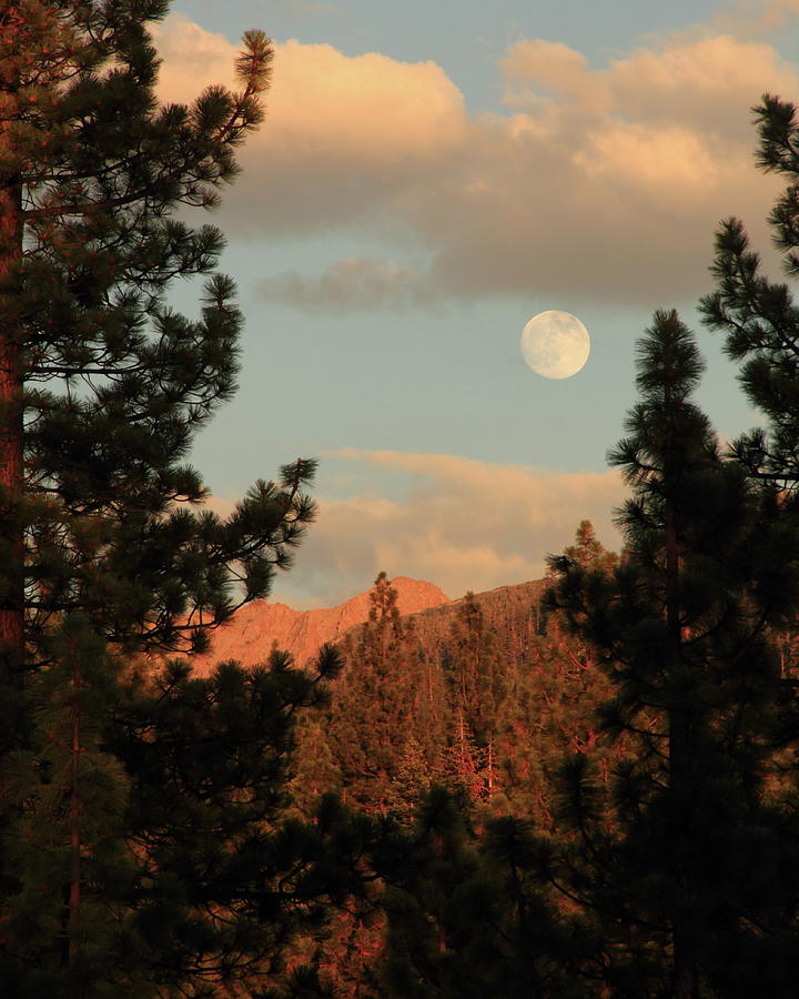Mountain Photograph - Sierra Eve Moonrise by Diane Zucker