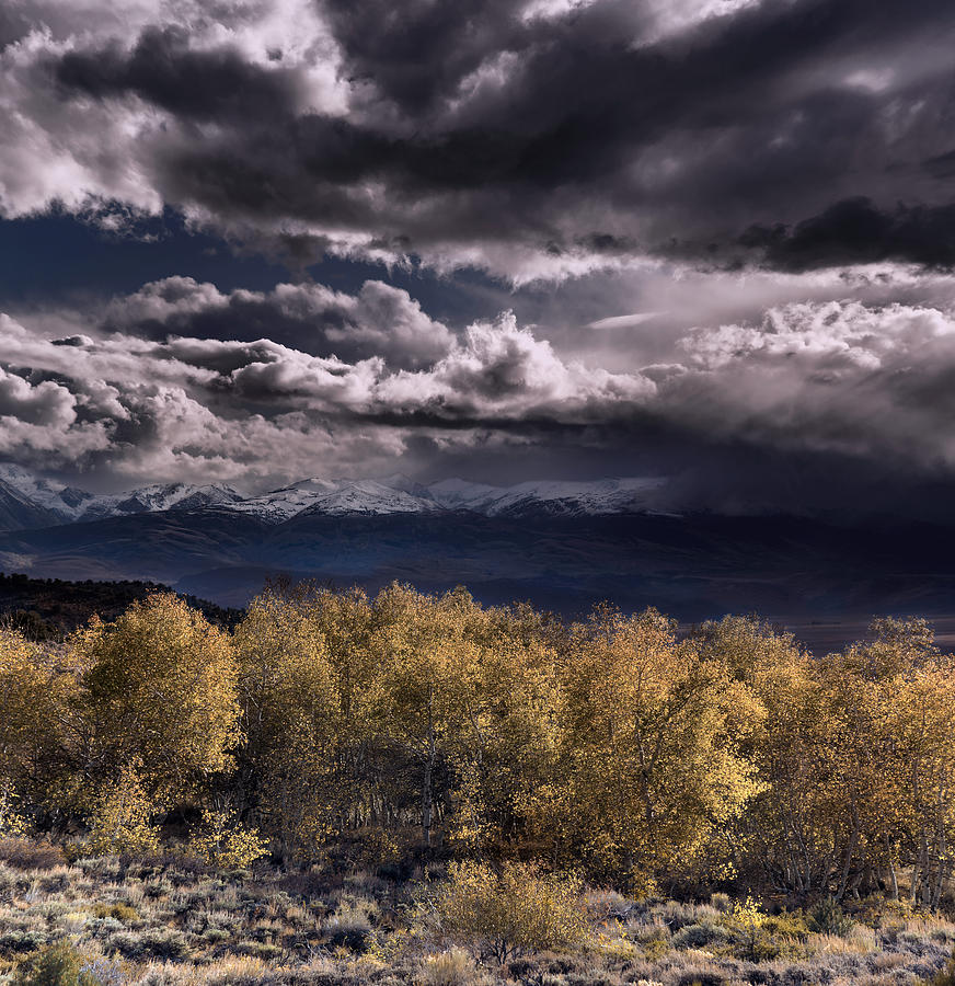 Sierra Fall Day Photograph by Steven Maxx