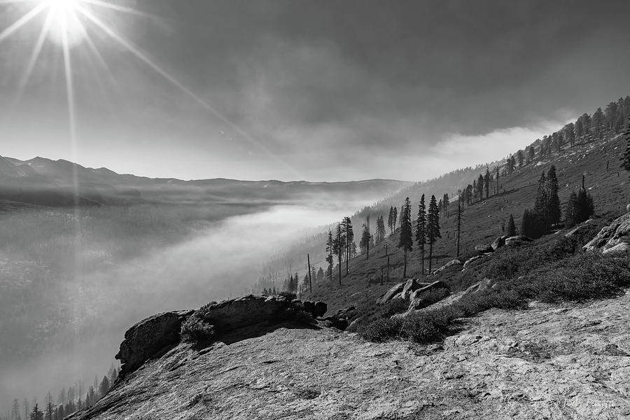 Sierra Majesty Photograph by Jody Partin