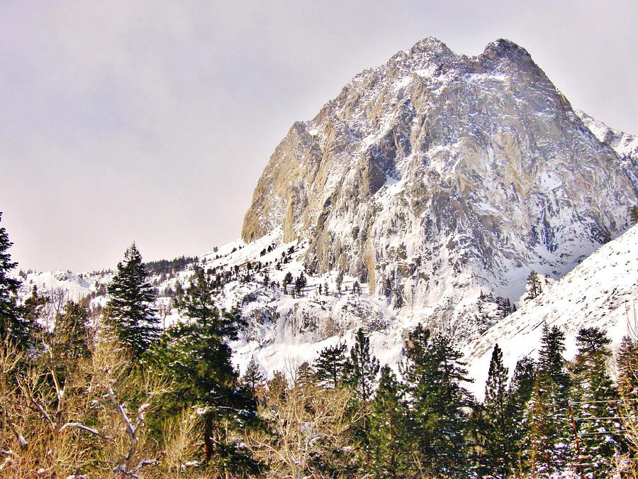 Sierra Mountain High Photograph by Marilyn Diaz