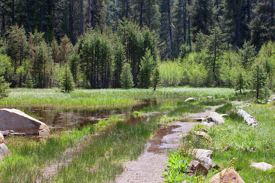 Sierra Mountains 1 Photograph by Matt Bray Fine Art America