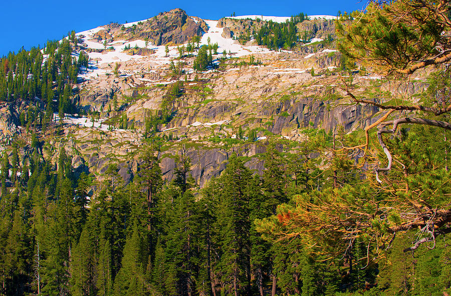 Sierra Mountainside I Photograph by Steven Ainsworth