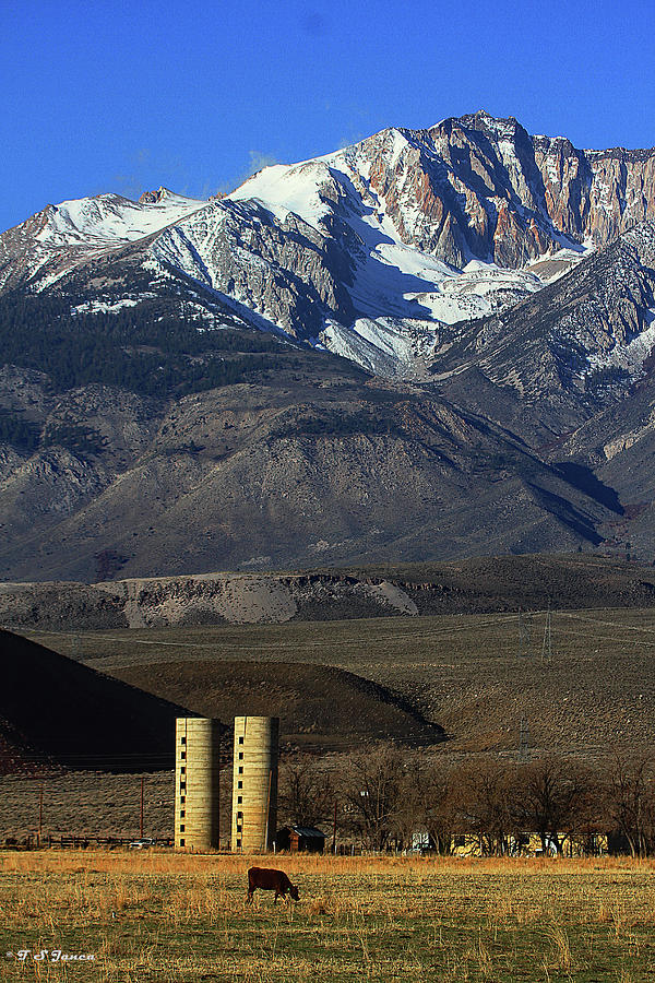 Sierra Nevada Mountains Digital Art by Tom Janca