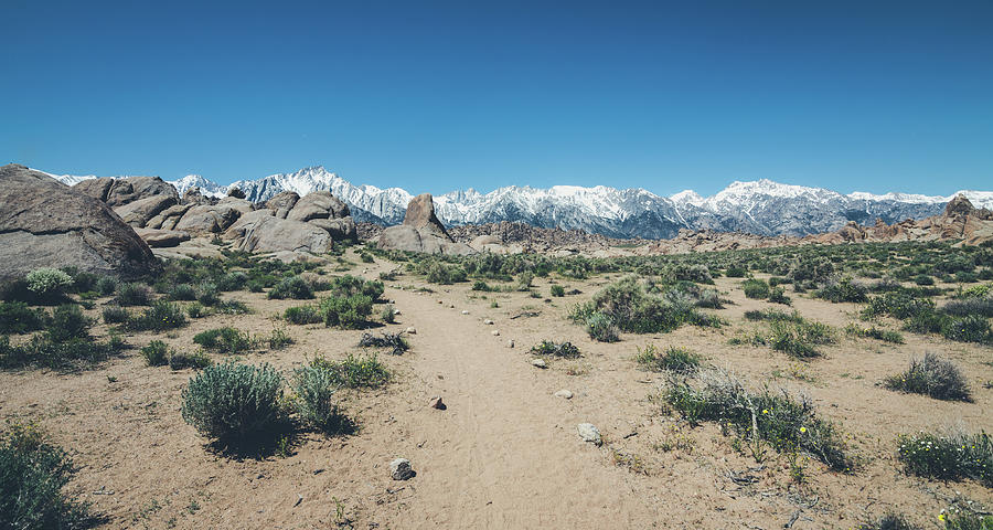 Sierra Nevada Trails Photograph by Margaret Pitcher