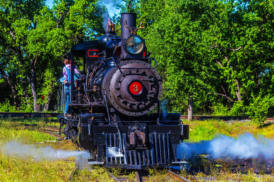 Sierra No 3 Steam Train Photograph by Garry Gay