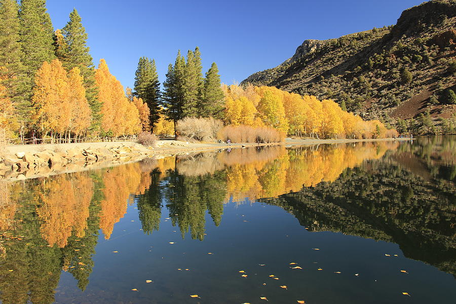 Sierra Peak Autumn Photograph by Sean Sarsfield