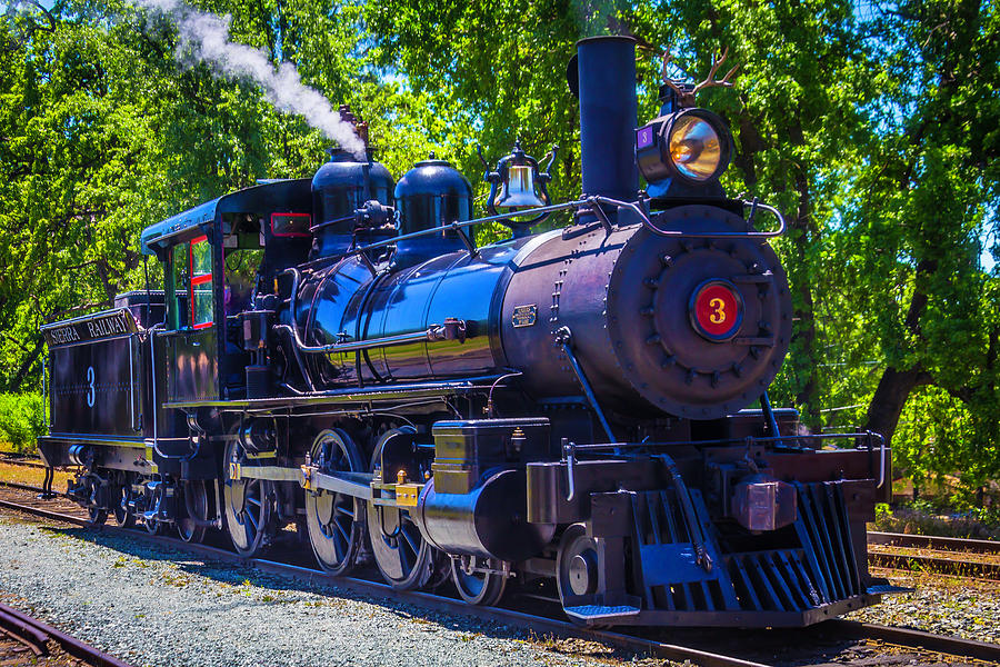 Sierra Railway Number 3 Photograph by Garry Gay