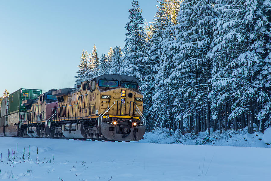 Sierra Snow and Train Photograph by Marc Crumpler