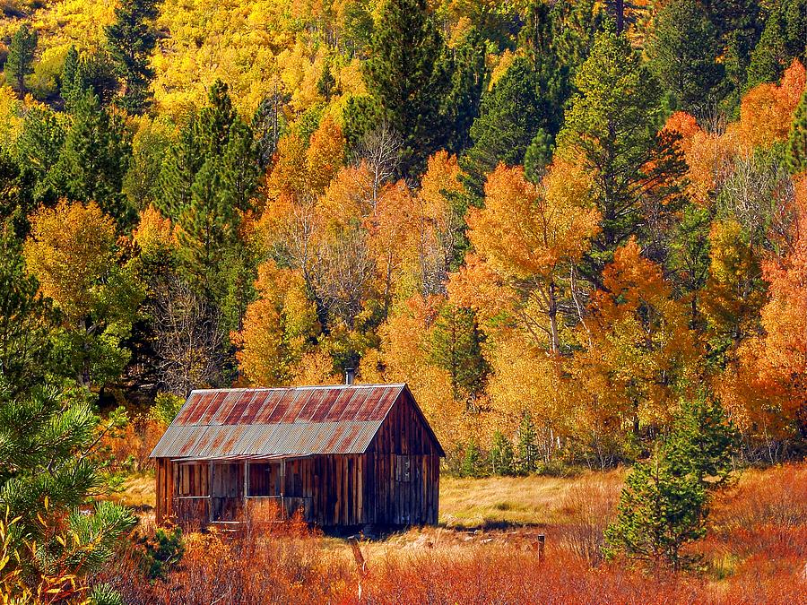 Sierra Solitude Photograph by Scott McGuire