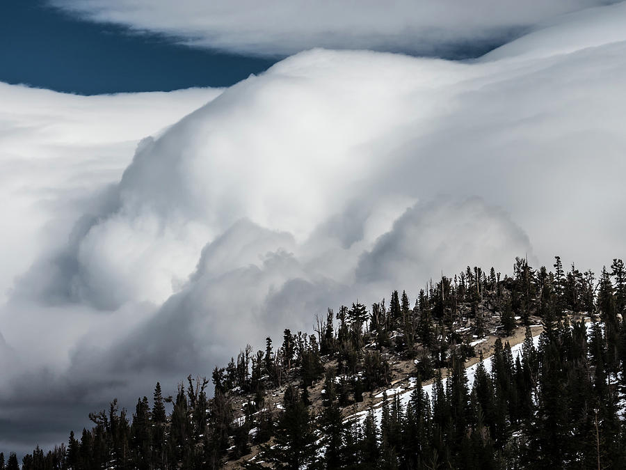 Sierra stormclouds Photograph by Martin Gollery