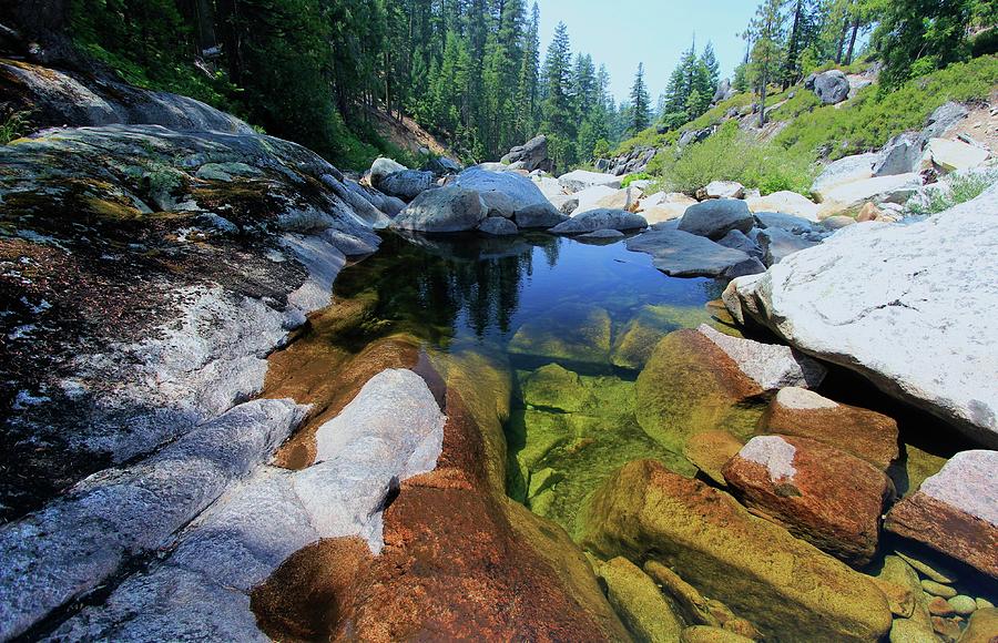Sierra Stream Contrast Photograph by Sean Sarsfield
