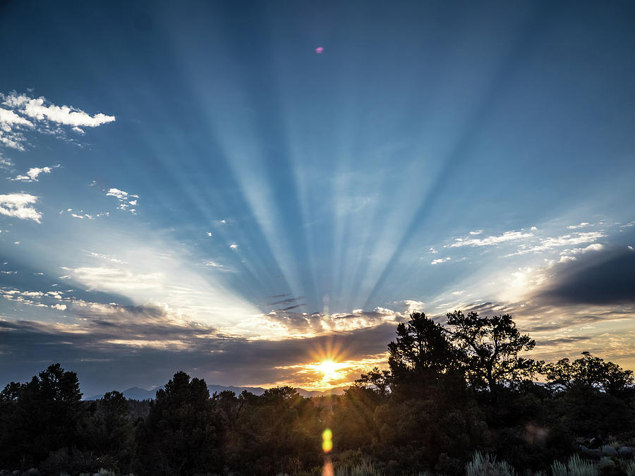 Sierra Sunrise Photograph by Martin Gollery