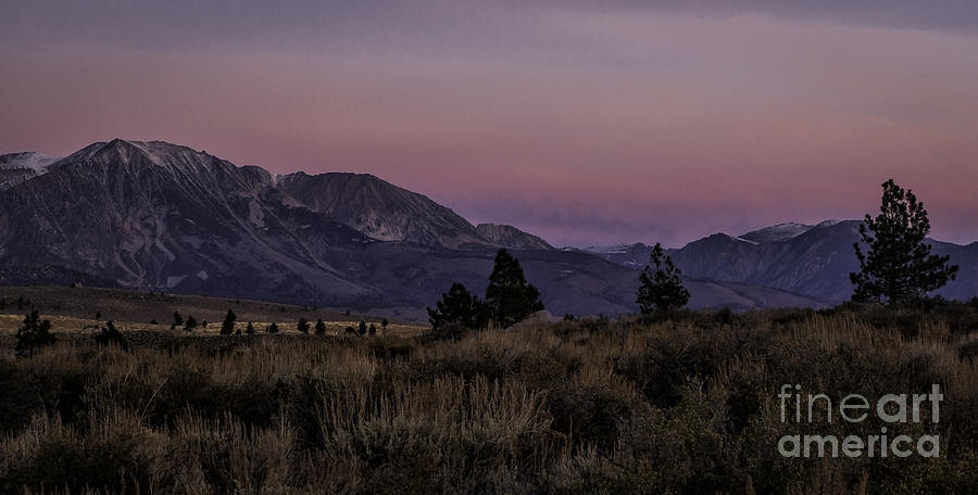 Sierra Sunrise Photograph by Timothy Hacker