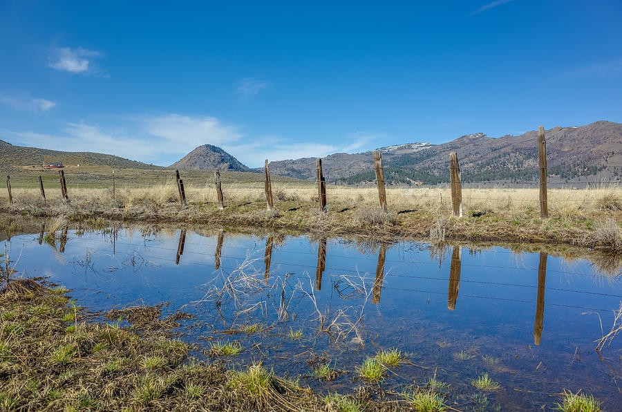 Sierra Valley Spring Reflection Photograph by Scott McGuire
