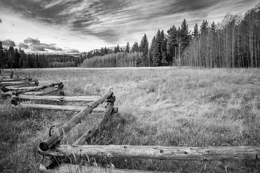 Sierra View  Photograph by Janet  Kopper